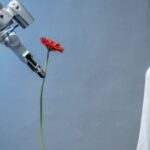 Ai Innovation - A Robot Giving a Woman a Flower